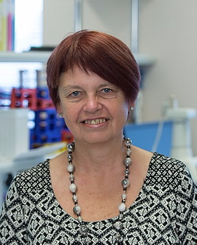 Irja Lutsar
