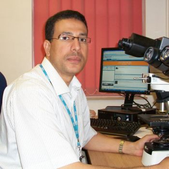 Emad A. Rakha