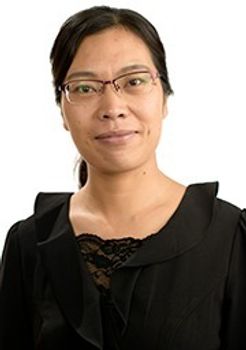 Hui M. Wang