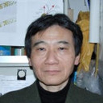 Naoki Sato