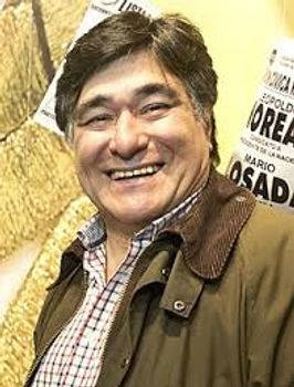 Nicola Zanini