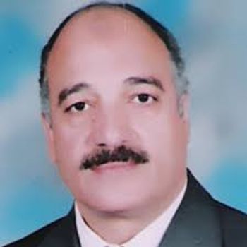 Mostafa M. Ghorab